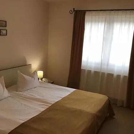 Pensiune Pensiunea Luiza Brașov